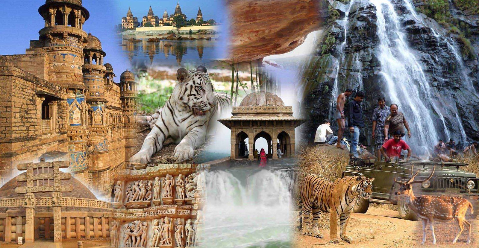 Tour and Travel