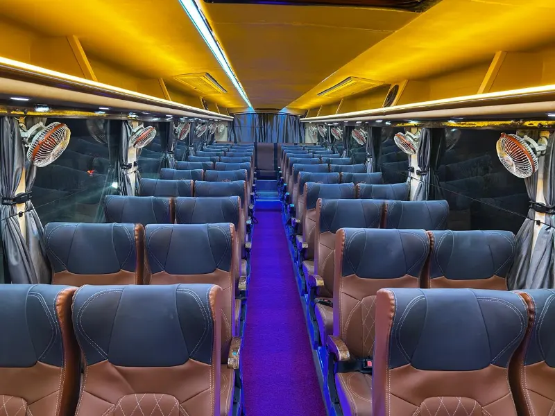 Luxury Seater Bus 54 56 Seats